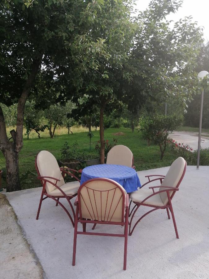 Apartman Petovic كوتور المظهر الخارجي الصورة